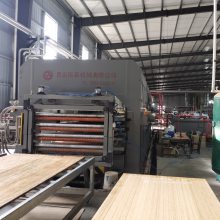 国森牌接长9.8米车厢全竹底板热压机设备 用于卡车客车集装箱竹地板生产