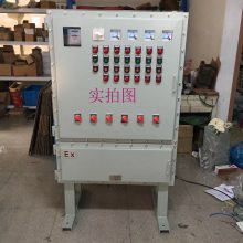 防爆配电箱 接线箱 非标防爆控制箱 气体防爆