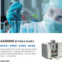 AAS6000ԭշֹȼ΢ؽǳֱ