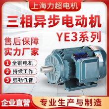 上海力超电机 YE3三相交流电机 380V 国标电动机 马达
