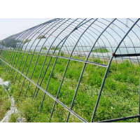 临沧_水果镀锌椭圆管大棚厂家_性价比高