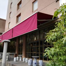 ���������� ���������� �綯���� �ֶ�����