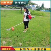 甘肃天水背负式坡地打草开荒机 宏晨圆盘刀灌木丛修剪机 四冲程打草松土机