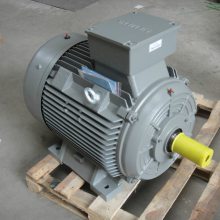 祥树欧茂 PAULY 冷热金属检测器 PP2092/2E/e2/i/stH7/24VDC