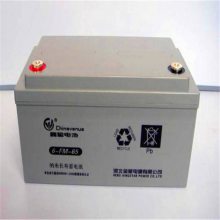示威蓄电池6GFM65-12 使用环境12V65AH安装步骤带辅材