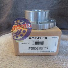 KOP-FLEX228060011/2FEBFRFBLovejoy