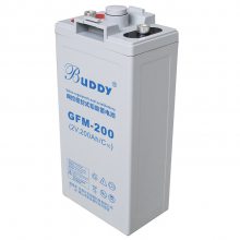 BUDDY GFM-500 ܷǦ2V500AH ͨ 豸