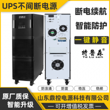 TRUSEN特鲁森 TLS33120-N高频UPS不间断电源机房数据中心稳压稳频巡检维修更换