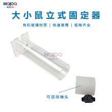 ʽС̶ȫ͸ǿС̶20-300g