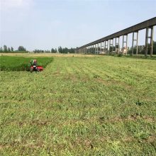 柳州汽油割草机水塘喂鱼黑麦草小型收割机展华批发