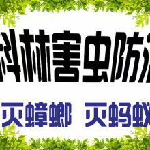빫˾ЧСЩ