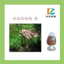 鹿葱提取物 10:1 20:1鹿葱粉 1公斤起订
