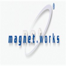 朝德 MAGNETWORKS 电磁铁 FH01.020.00.N FH10.100.060.11