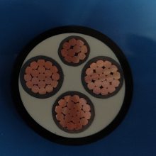 ZC-YJVͭ 3*95+1*150.6/1KVͭоѹ¡