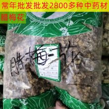 中药材 腊梅花 多少钱一斤 厚池药业 供应蒙花