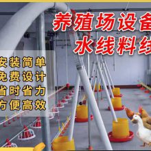 养殖场鸡鸭鹅全自动喂料机简易料线猪场家禽棚舍绞龙上料喂养配件