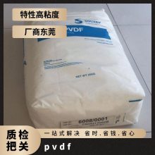 PVDF美国苏威TA-11008/0001 阻燃 耐磨蚀 高纯度 聚偏二氟乙烯