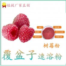 树莓速溶粉 水溶性粉末 保留营养成分 资质全 斯诺特品牌