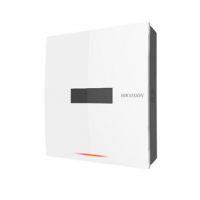 ʯׯ ߱ DS-PW1-A/BG ?