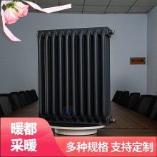 ů ҵרûůƬ ˫满ܲůƬGZH5-300