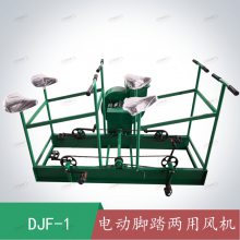 DJF-1̤綯÷ ˷