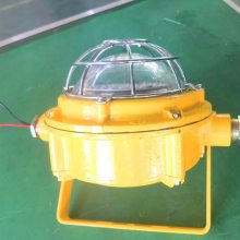 硐室 监控照明-矿用隔爆型LED支架灯 型号DGC24/127L