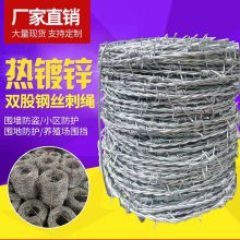 兴来 坚固耐用 双股刺绳铁丝网 专用立柱生产厂