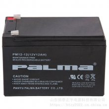 PaLmaPM12-1212V12AH̫ UPS/EPS