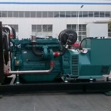 潍柴蓝擎200KW铜芯柴油发电机组 配备WP10D264E200柴油机