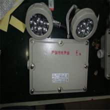 亿安供应防爆应急灯 BAJ52-20防爆照明双头应急灯 BAJ52双头防爆应急灯