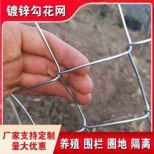 家禽拦鸡网养殖网菜园围栏防护围山菱形钢丝网硬度高