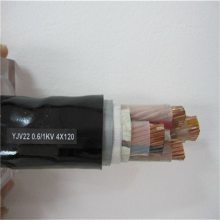 ѹ0.6/1KV-CU/XLPE/PE/SWA3X95+1X50