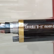 HYAC（40X2X0.5）+RVVP（2X4）索道通讯电缆