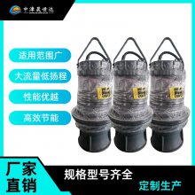 中津晟世達(dá) QZ潛水軸流泵 大流量潛水泵 排灌泵站 多種型號可選