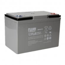 FIAMM*** 12FLB200 ߱Ǧ12V5***H ܹҵԴ