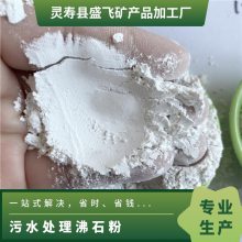 盛飞生产沸石白色沸石粉 改良污水处理用吸附性强吸水***