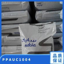 PPA () UC1004 עܼ   ĥ ҵе