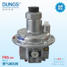 DUNGS减压阀 FRS系列燃气调压阀 坜合博品种齐全 质优价廉