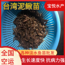 ȫ깩Ӧ巢