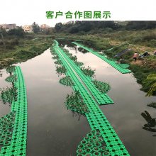 承接各种水生植物浮床 生态浮岛景观绿化工程 黑臭水体治理工程生态修复 欢迎来电咨询