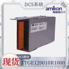 г:ƵԪ1TGE102009R4800ʡ/ֱ2023ȫ++