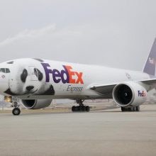 ʿ Fedex ˷˫˰