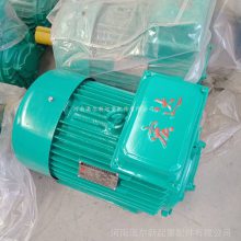 YZRұص綯 豸 תӵ