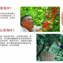 厂家关于樱桃预冷机樱桃分选机介绍