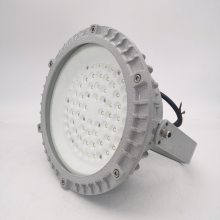led ExdIICT6 50w˵ ҷ