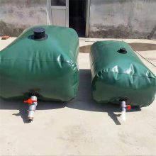 青润环保 水囊 DT/SN 软体可折叠便携式水囊水袋 液袋厂家***