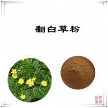 翻白草粉 速溶粉 可水溶 沃特莱斯生物 棕黄色粉末