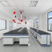 生物实验室家具供应 化验室用工作台公司 阆中生物实验台