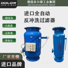 进口全自动自清洗过滤器 全自动反冲洗过滤器 德国多尔德DOLDR