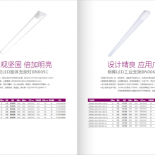 BN398C  Ե ε